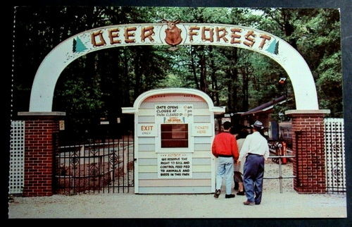 Deer Forest - Photos From Old Park Website